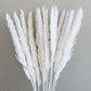 Natural Air-Dried Decorative Flowers. - Londecor